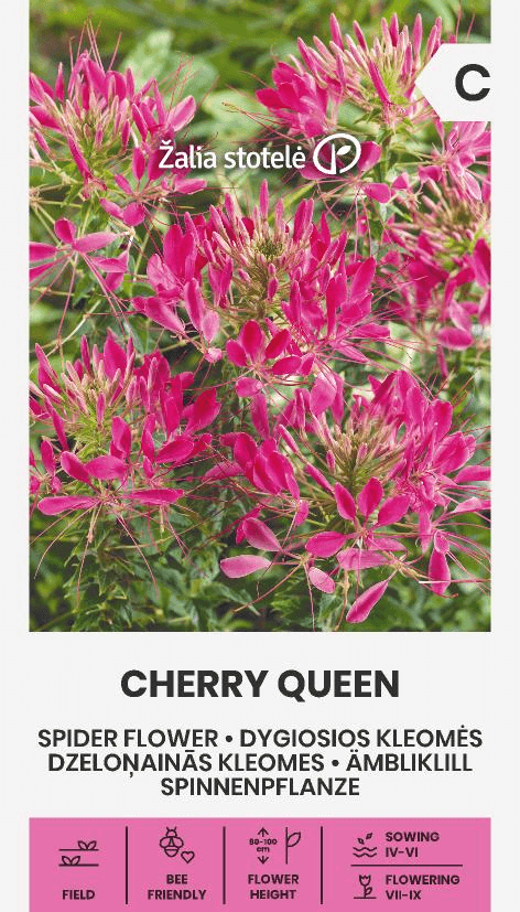 4770168292116 Kleome Cherry Queen 0.4g