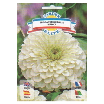 puku-seklas167 Cinnija balta 1g