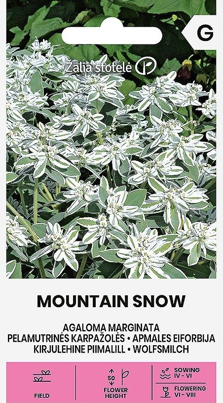 4770168292031 Eiforbija Mountain Snow 2g