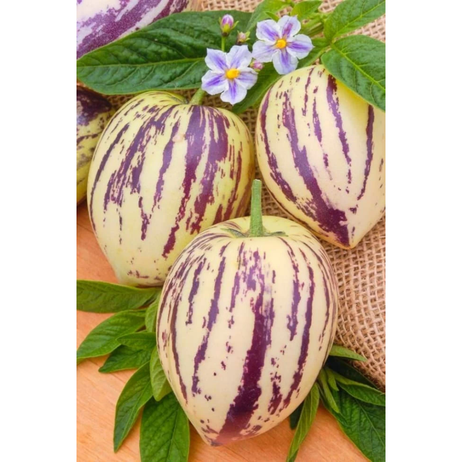 5903837322305 Pepino 0.01g
