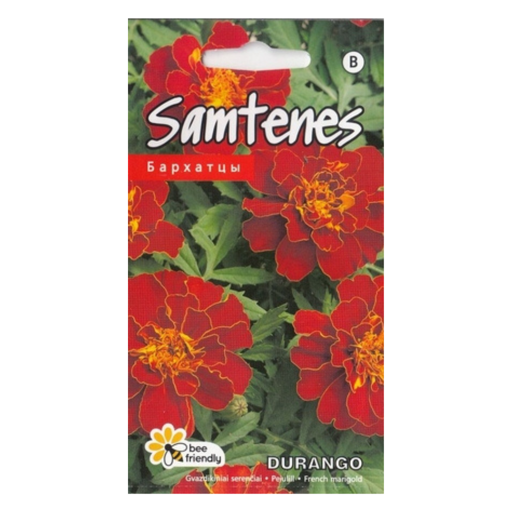 durango Samtenes Durango 20 sēklas