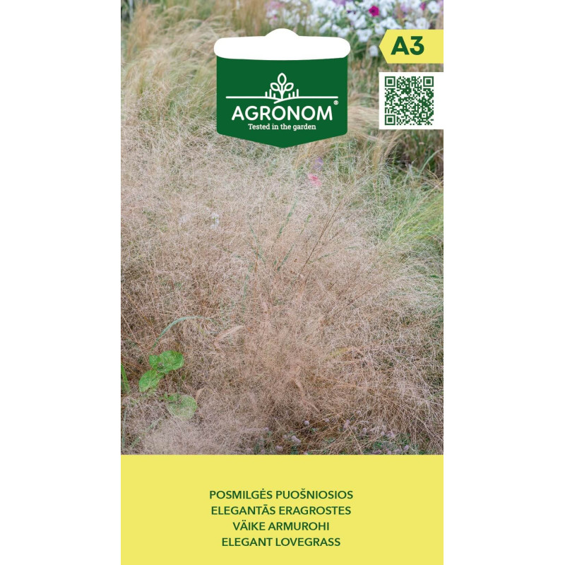 eragrostes Eragrostes elegantās 0.2g